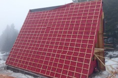 IMG-20241217-WA0031